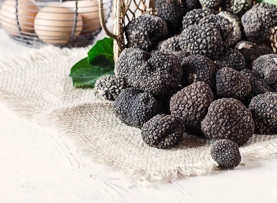 How-to-Clean-and-Keep-Fresh-Black-Summer-Truffles-Fresh-Longer Truffle & Sons