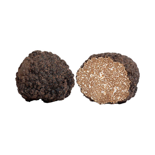 20g Fresh Black Summer Truffle - Tuber Aestivum Vitt. Nugget