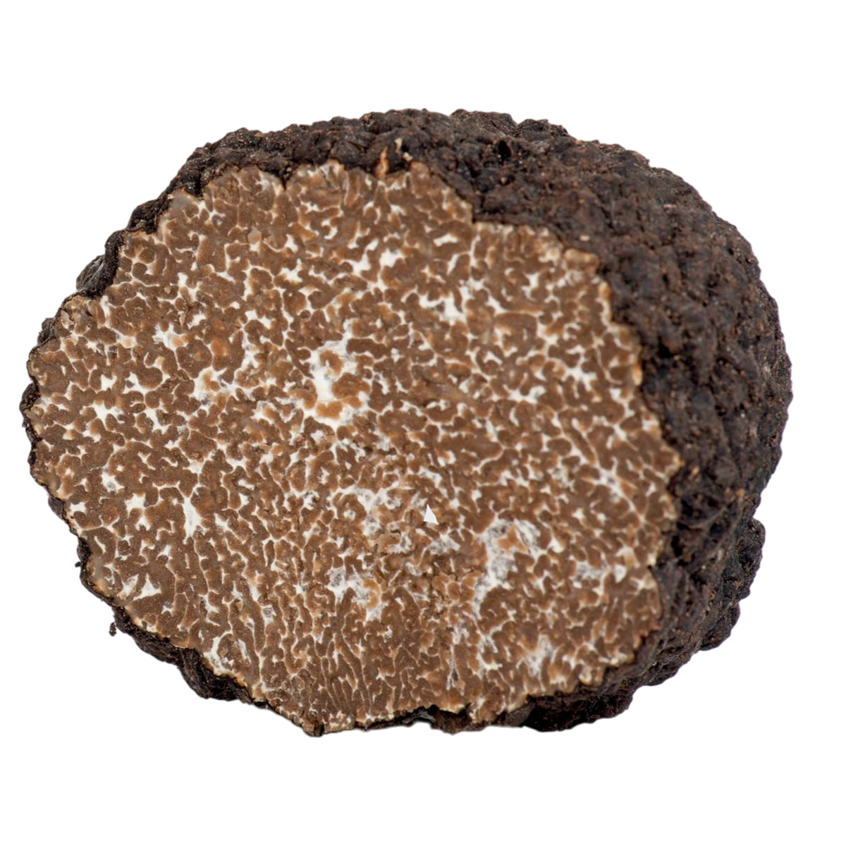 Alba d'Estate - Fresh Black Summer Truffles - Tuber Aestivum