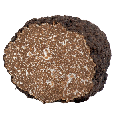 Alba d'Estate - Fresh Black Summer Truffles - Tuber Aestivum
