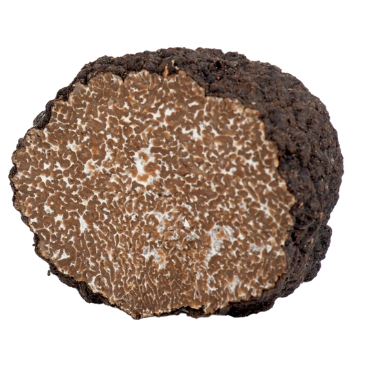 Alba d'Estate - Fresh Black Summer Truffles - Tuber Aestivum