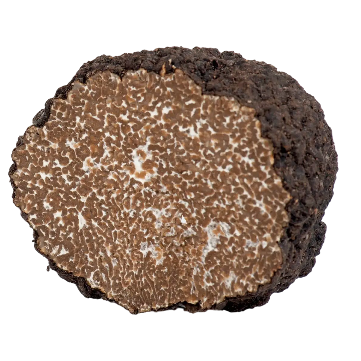 20g Fresh Black Summer Truffle - Tuber Aestivum Vitt. Nugget My Store